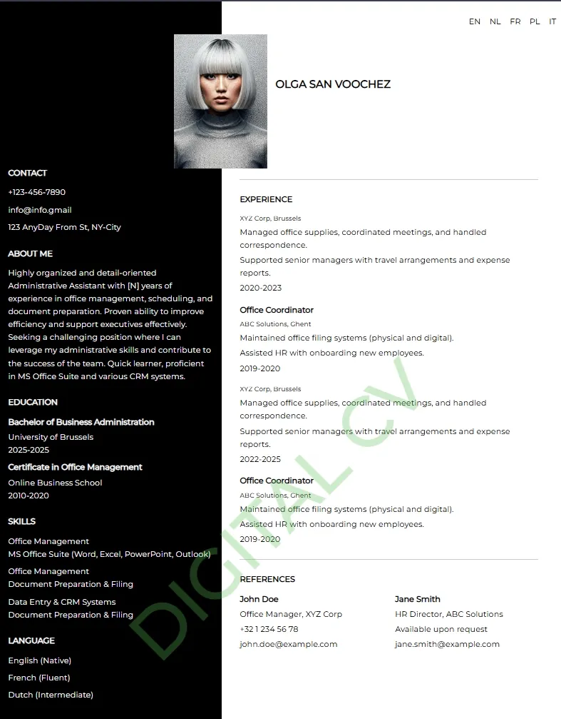 Example of a CV