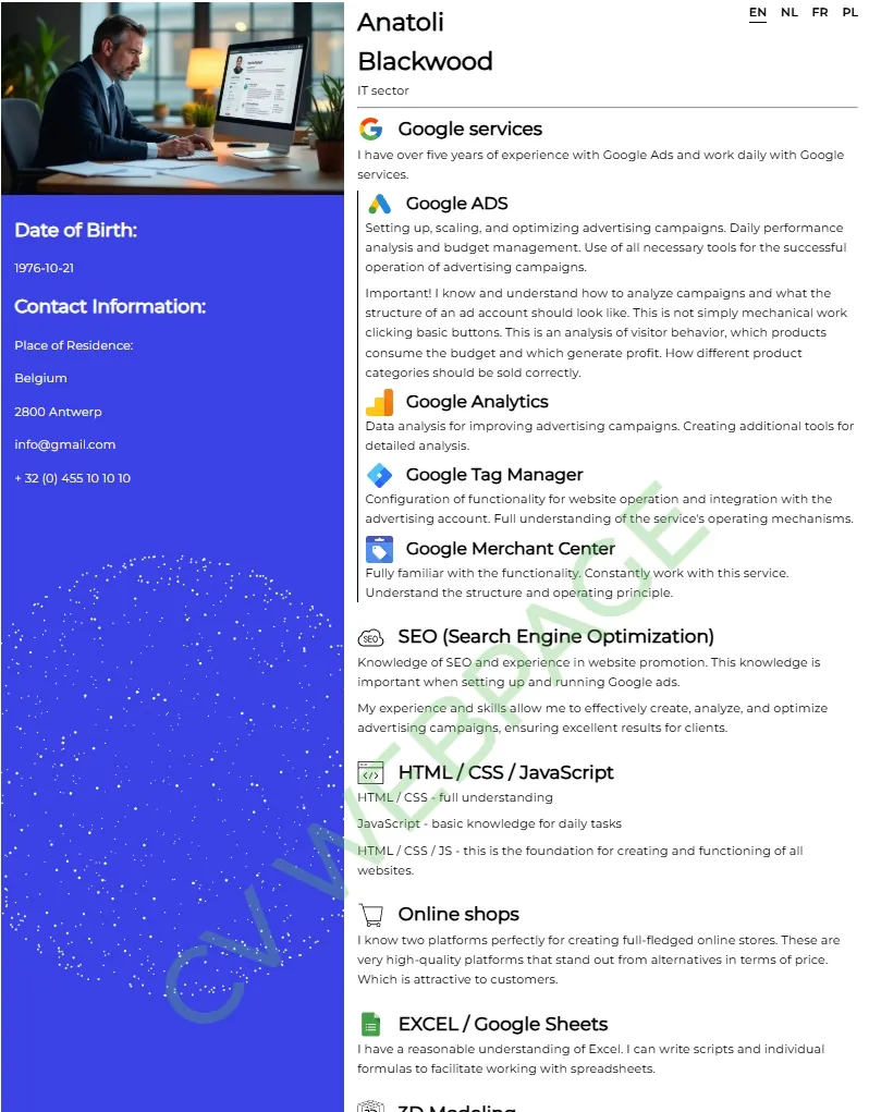 Example of a CV