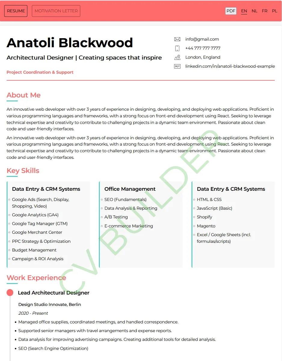 Example resume