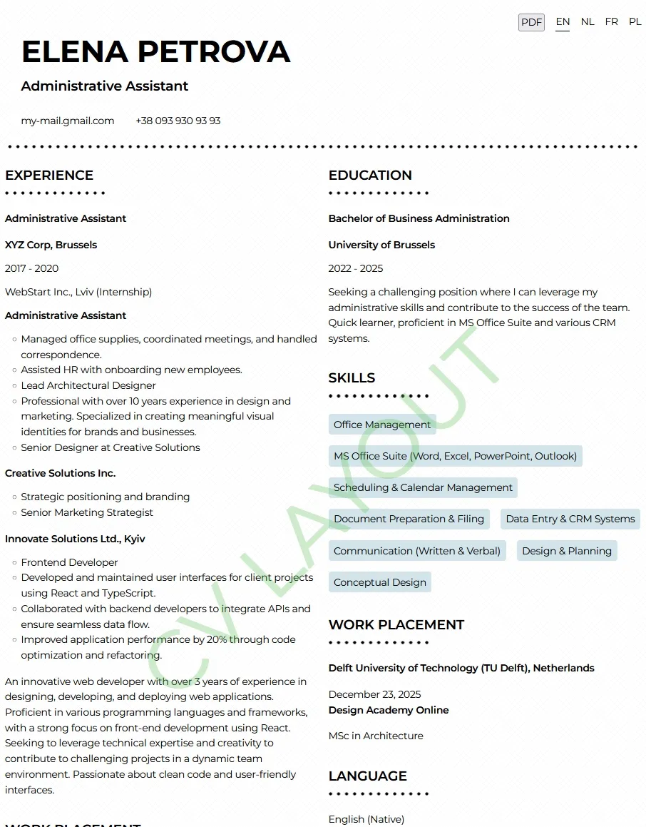 Example of a CV